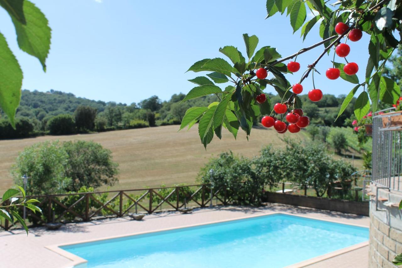 Macchiapiana Villa Scansano Exterior foto
